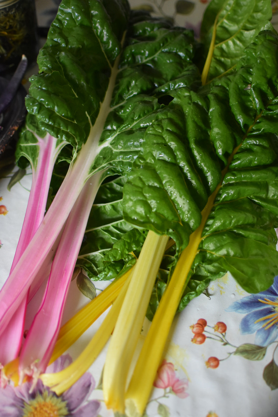 Organic Chard 150g