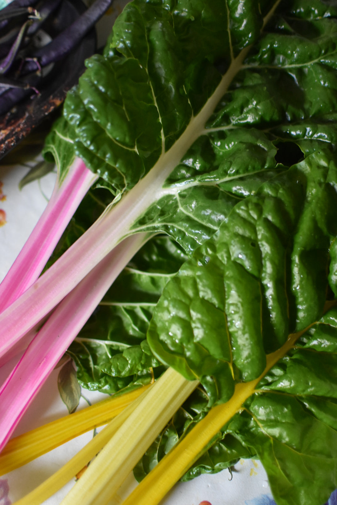 Organic Chard 150g