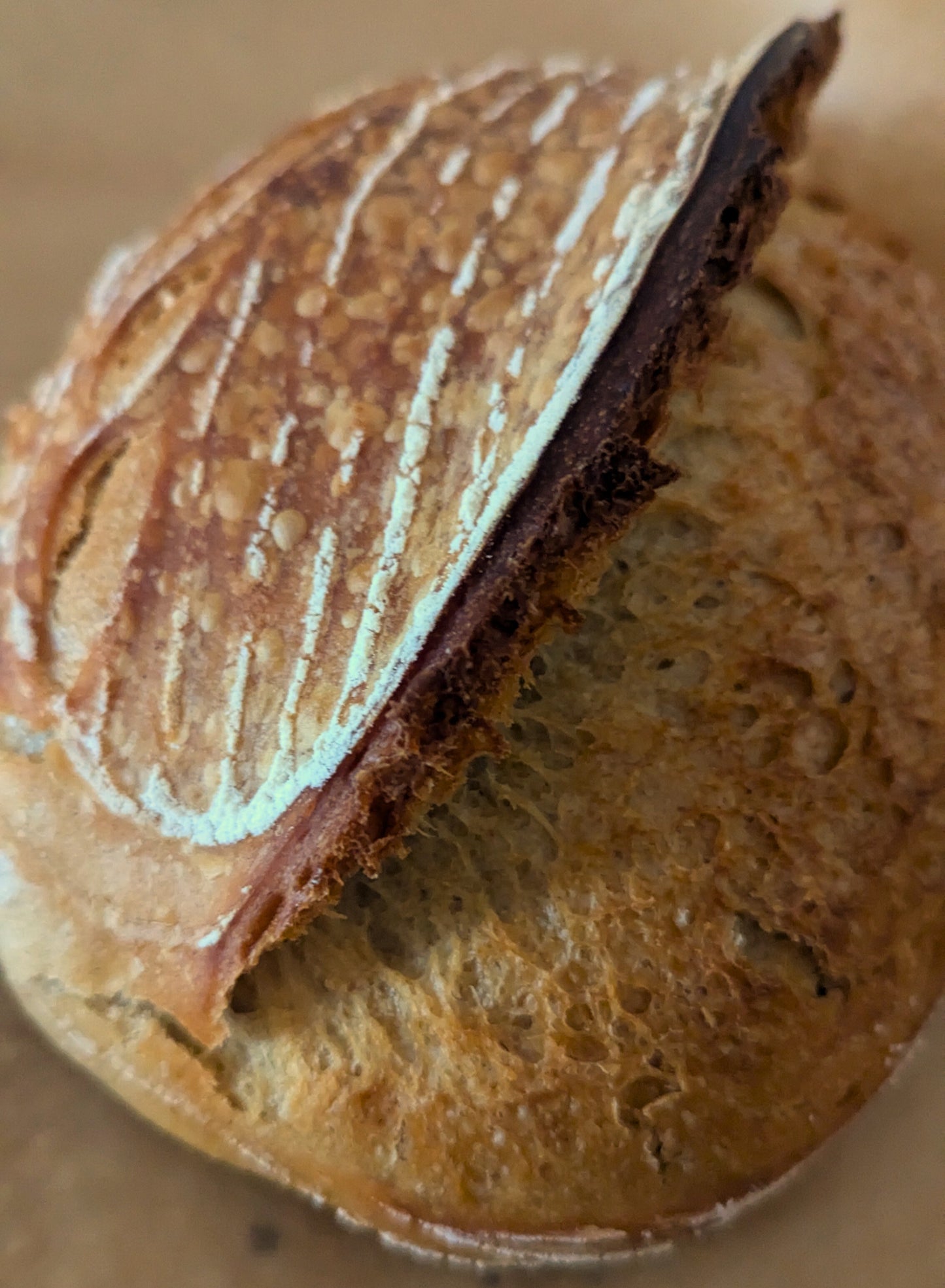 25/04 FRI Sourdough Loaf