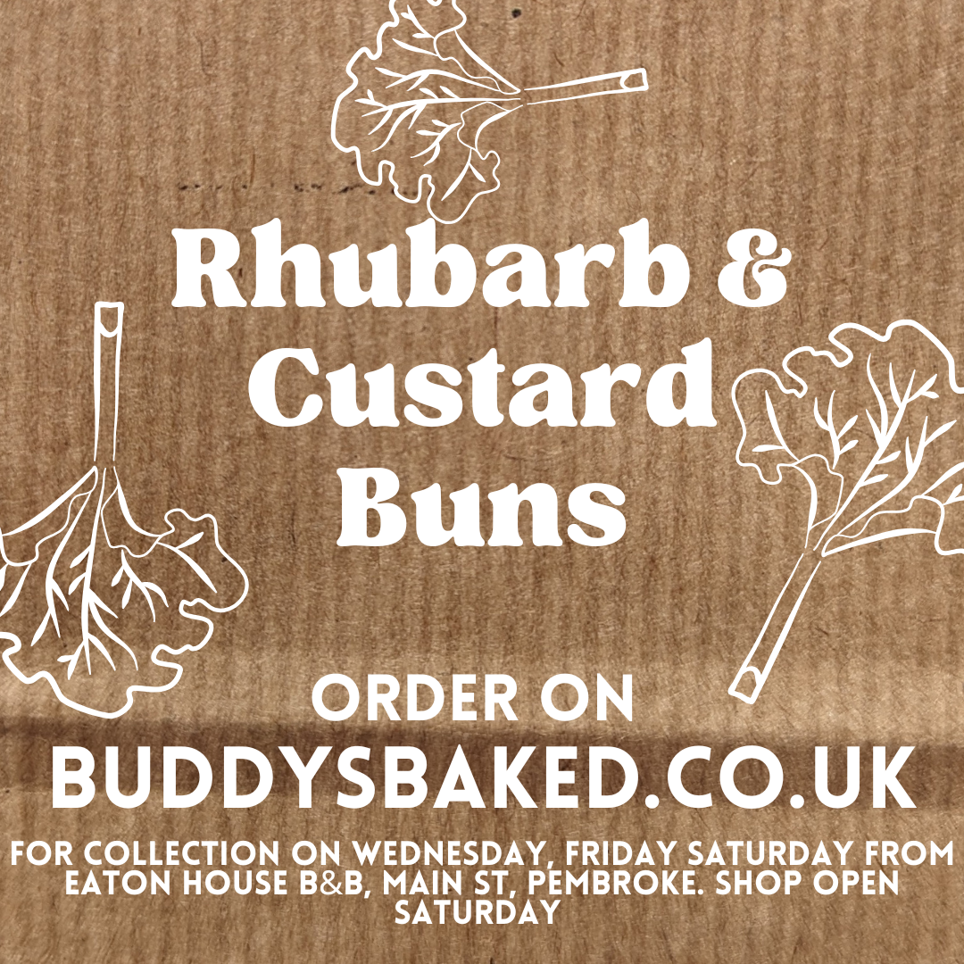 Rhubarb & Custard Buns