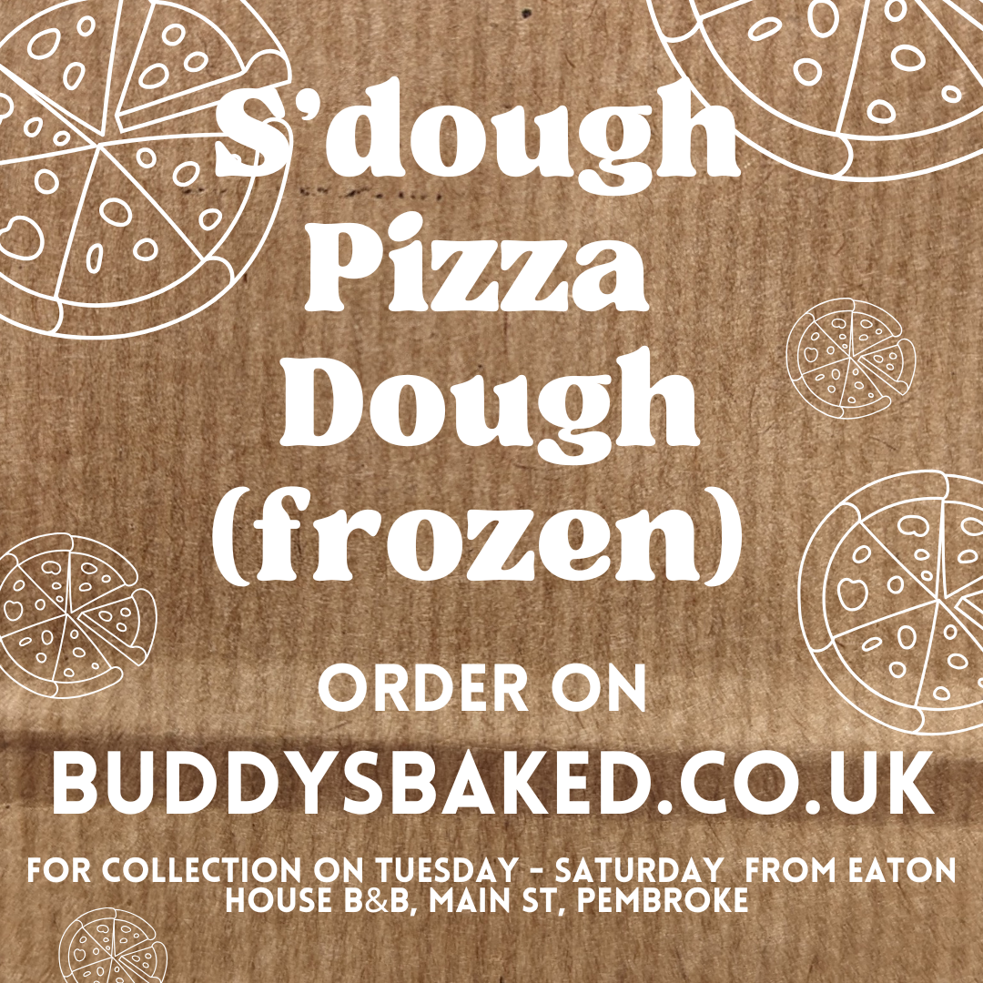 S'dough Pizza Dough Balls (frozen)