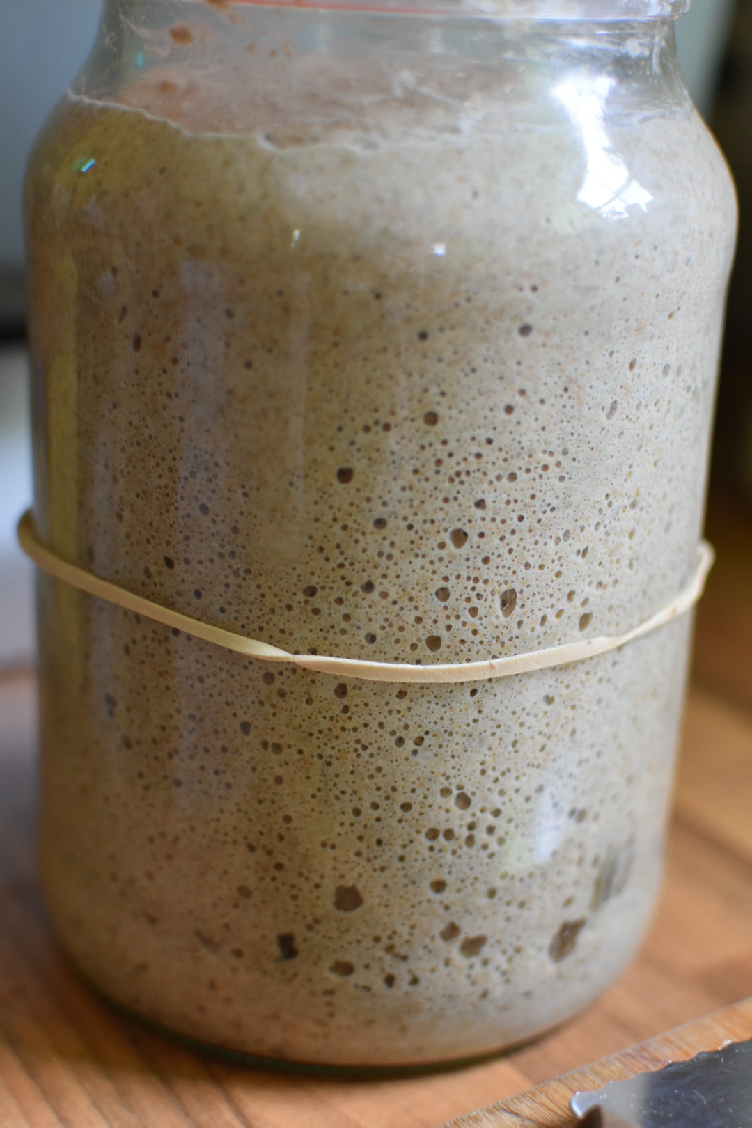 Sourdough Starter