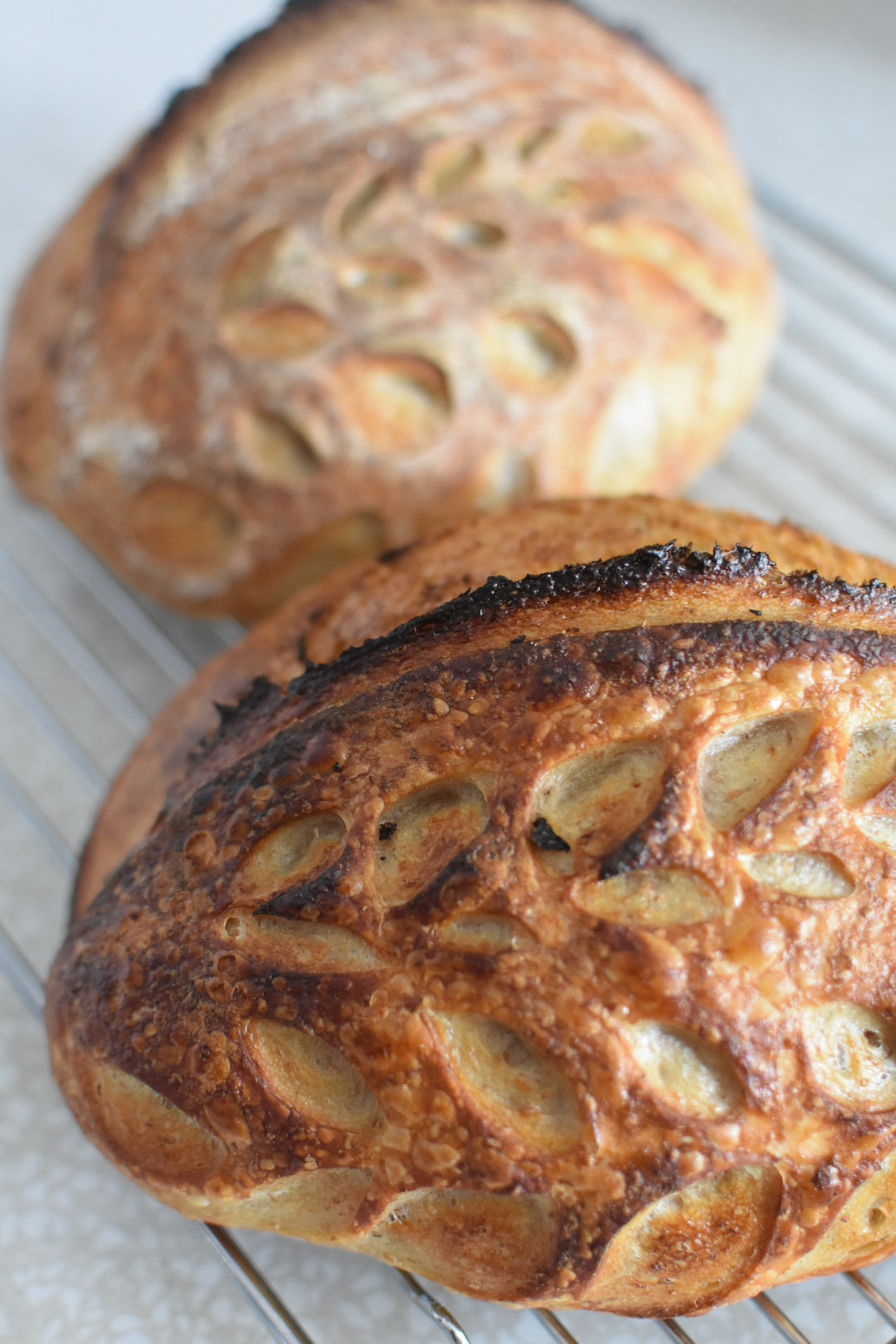 8/01 WED Sourdough Loaf