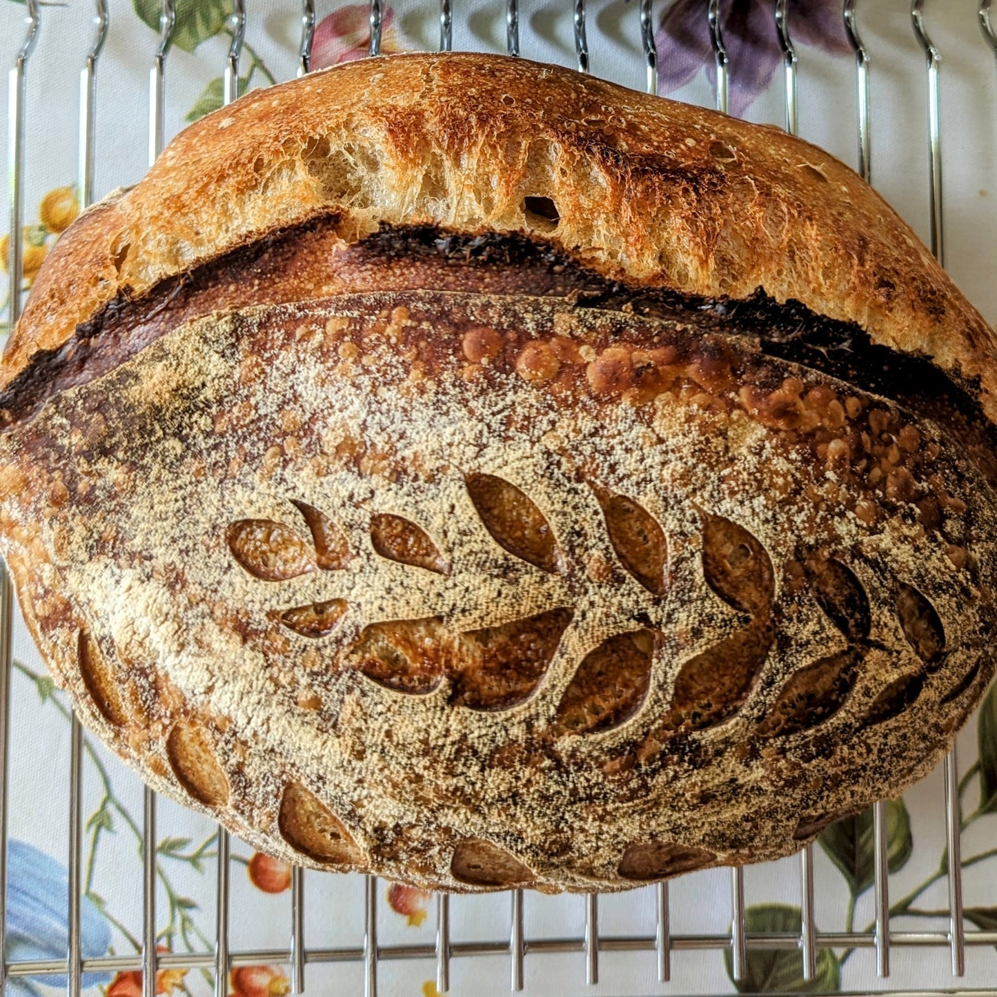 Sourdough bread Pembroke wales