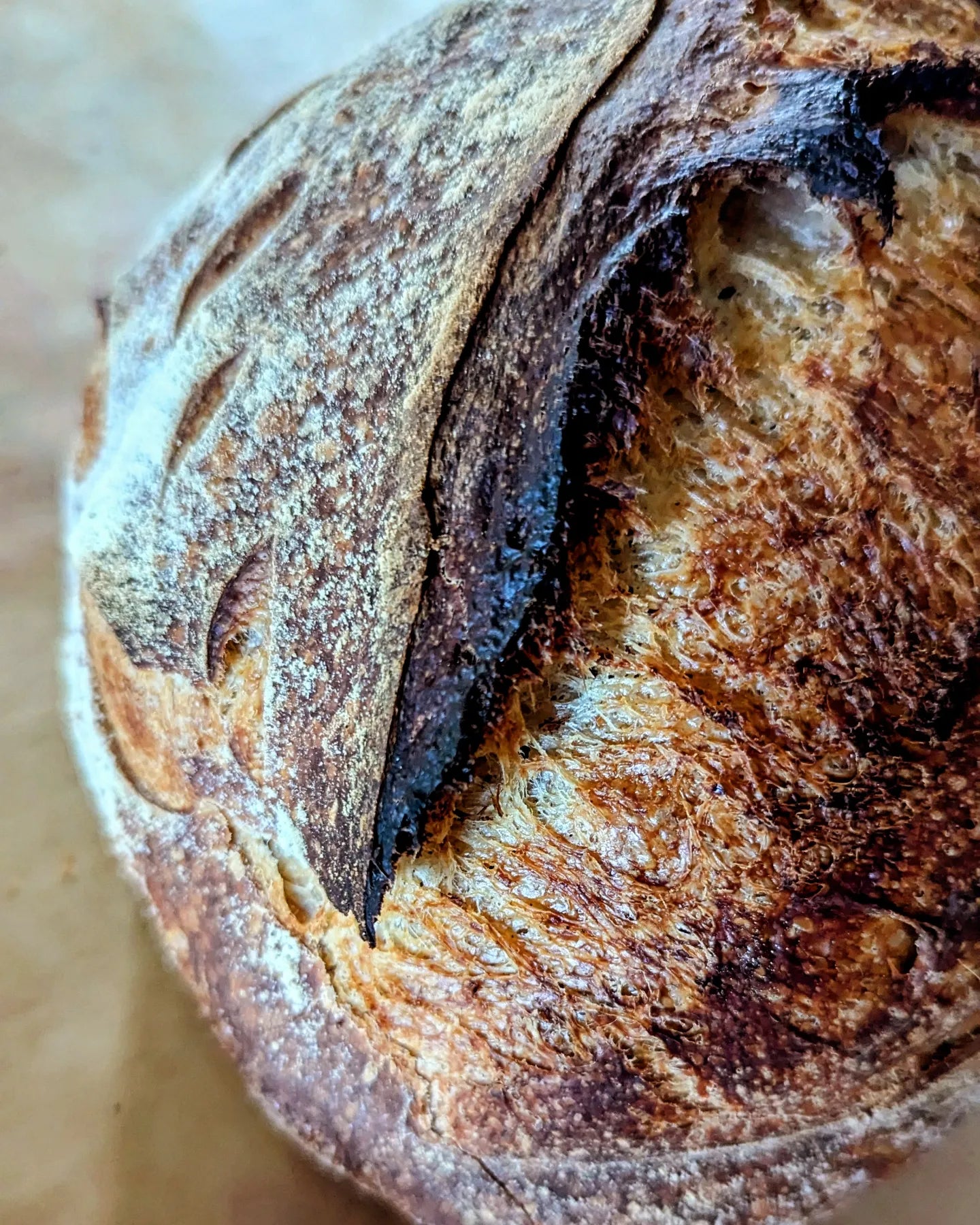 8/01 WED Sourdough Loaf