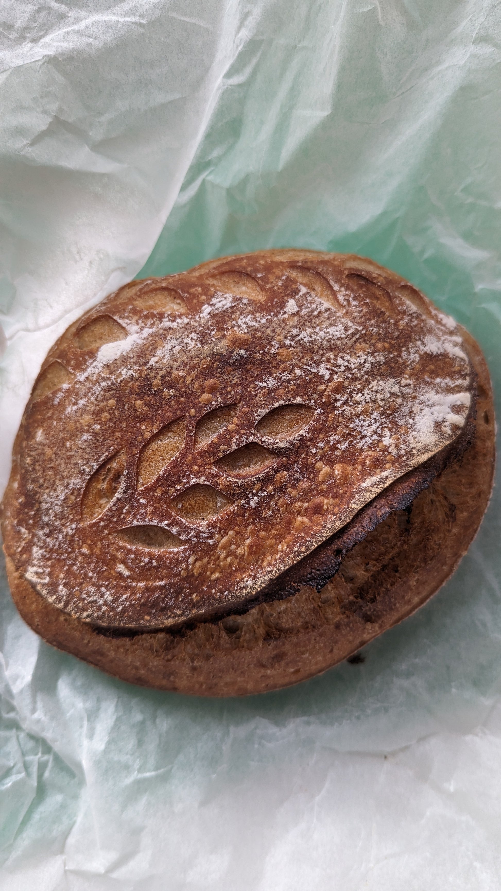 Sourdough bread Pembroke wales