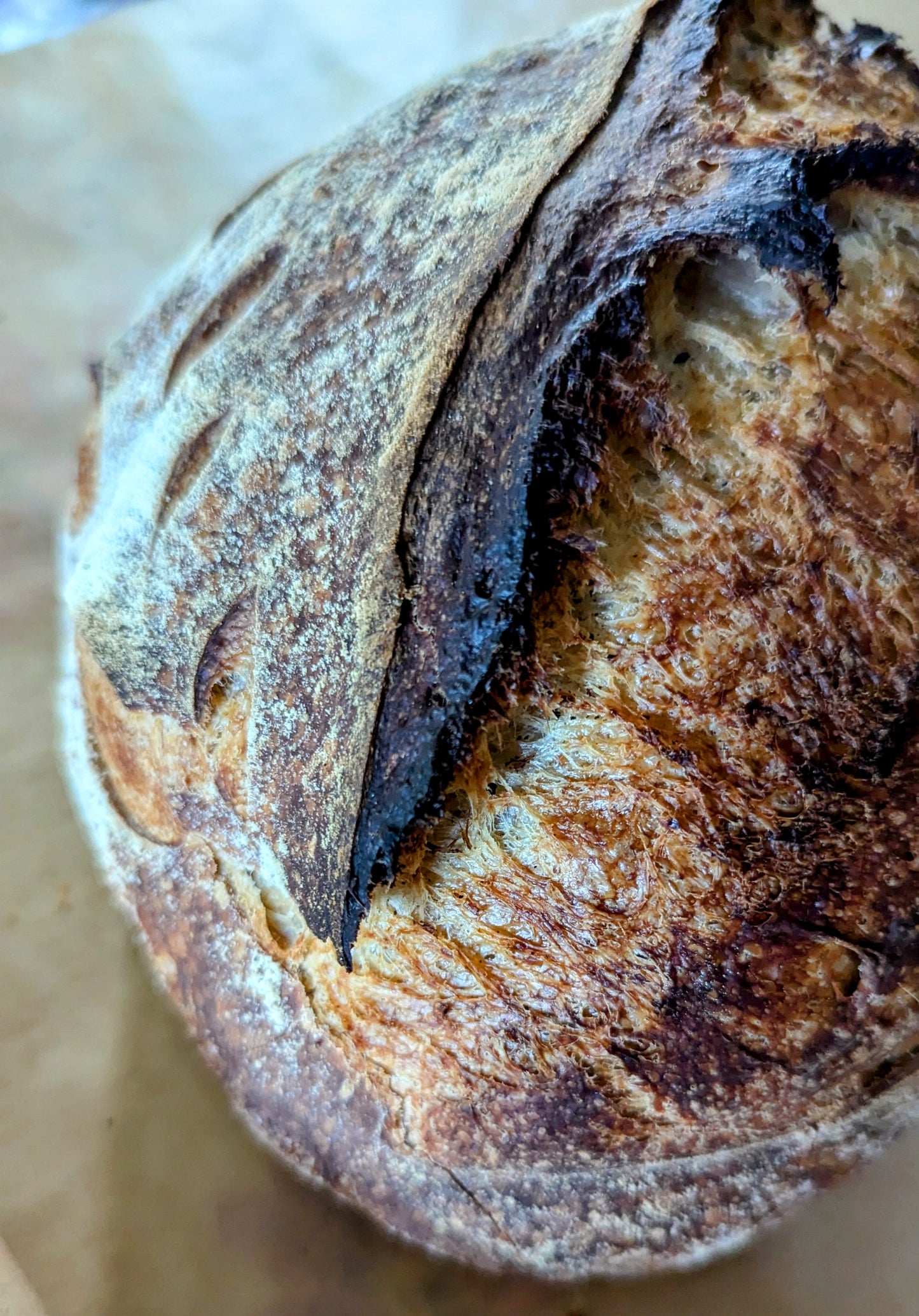 14/05 THURS Sourdough Loaf
