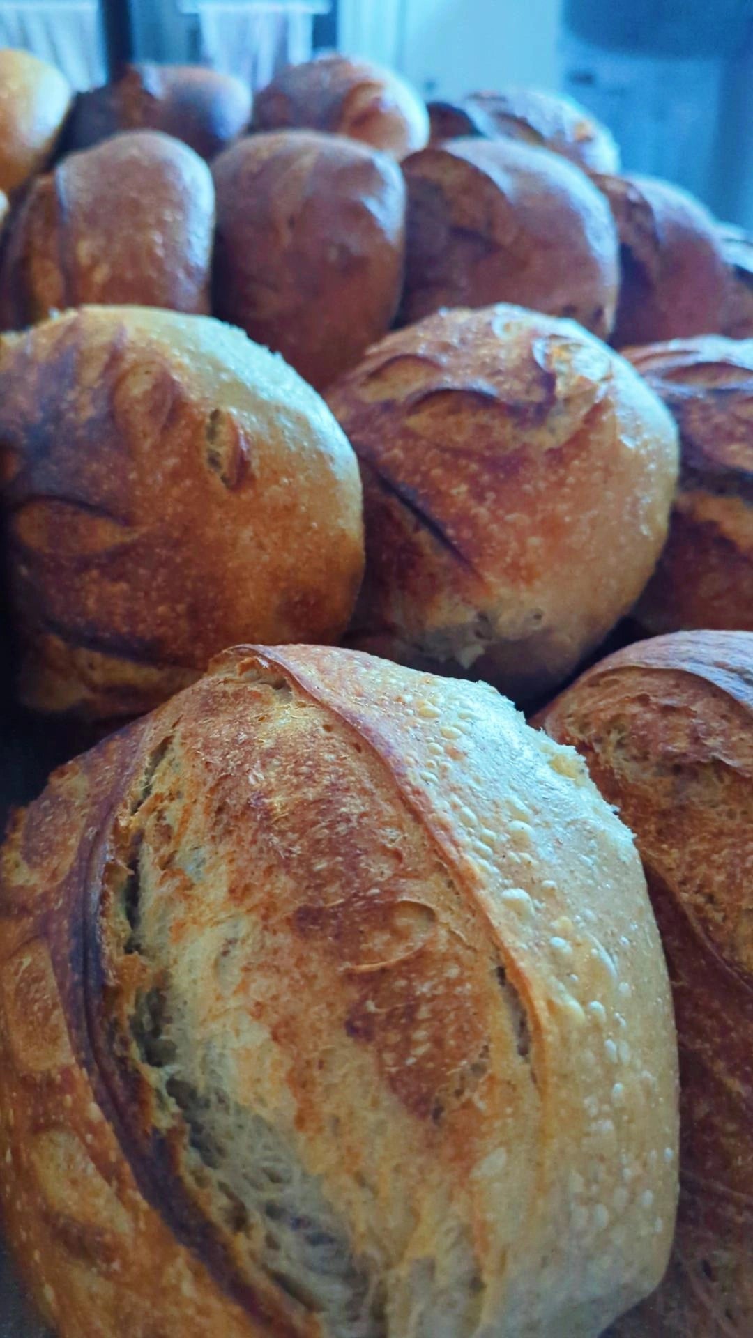 16/02 SAT Sourdough Loaf